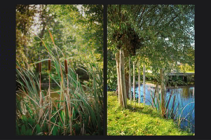 Foto 40 van Brugweg 106-B