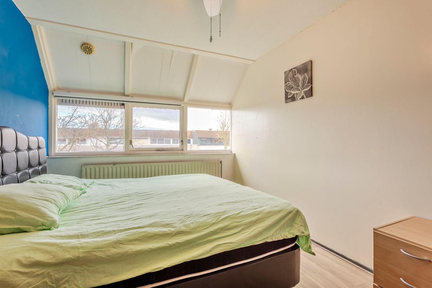 Foto 19 van Galjoen 20 45