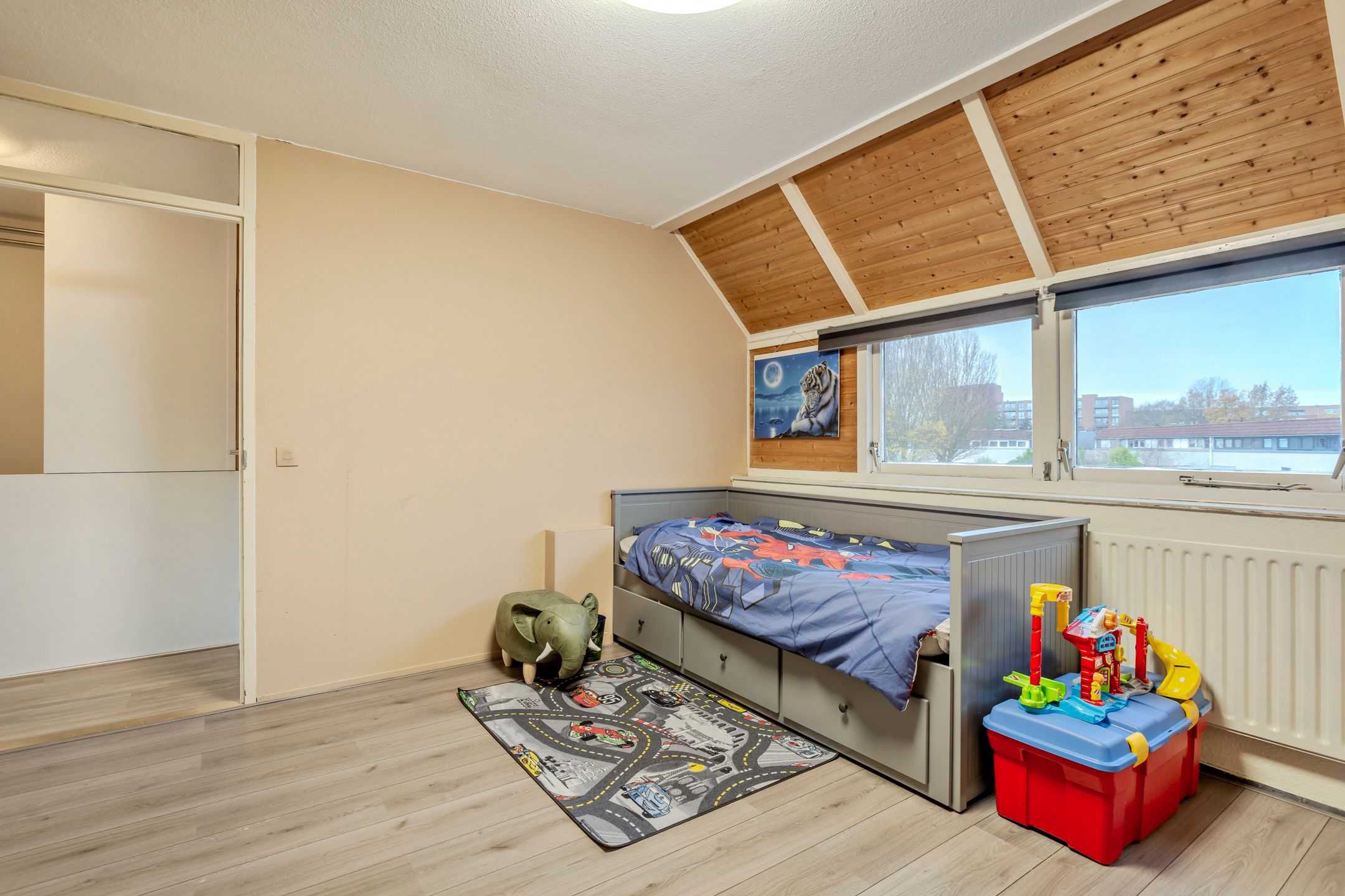 Foto 21 van Galjoen 20 45