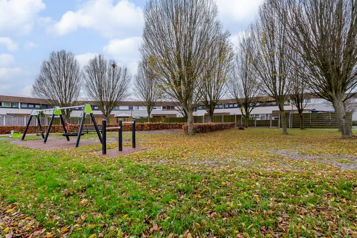 Foto 31 van Galjoen 20 45