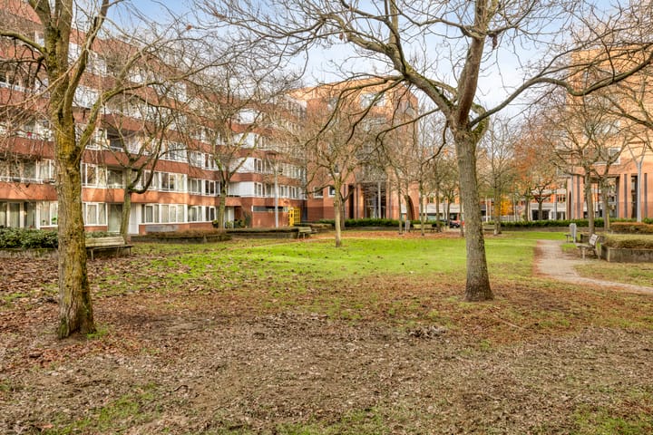 Photo 21 of Stellalunet 12-B