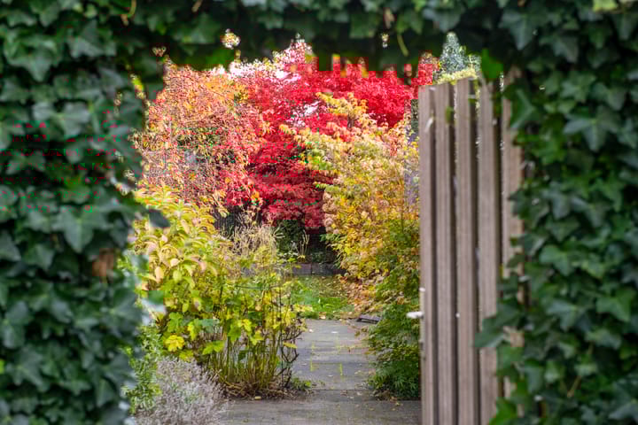 Foto 46 van Noorderweg 9