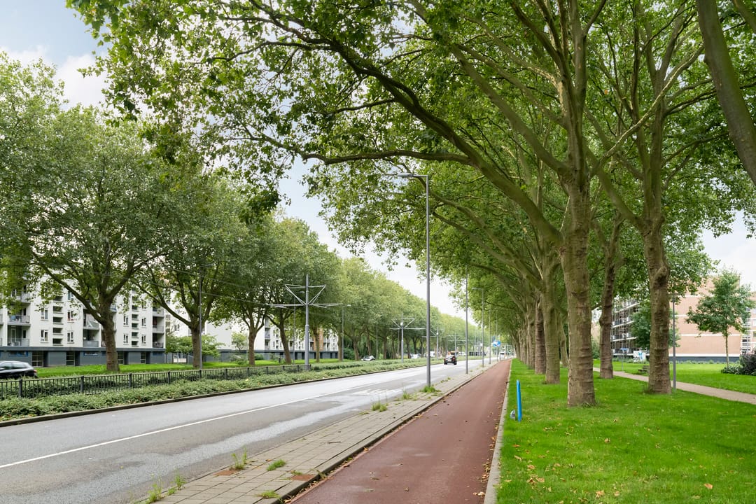 Foto 28 van Plotinusstraat 128