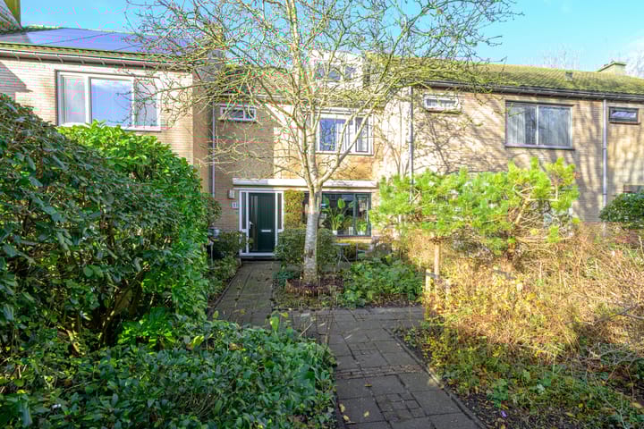 Pieter Wariuslaan 11