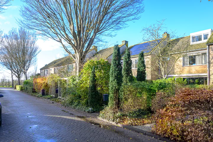 Photo 43 of Pieter Wariuslaan 11