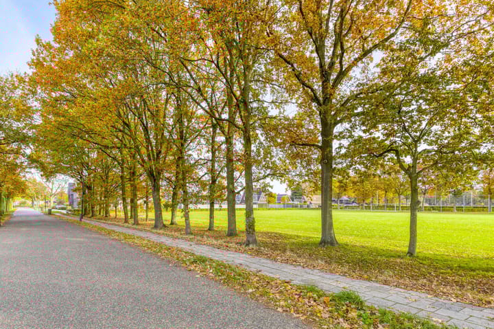 Photo 67 of Soetendaal 8