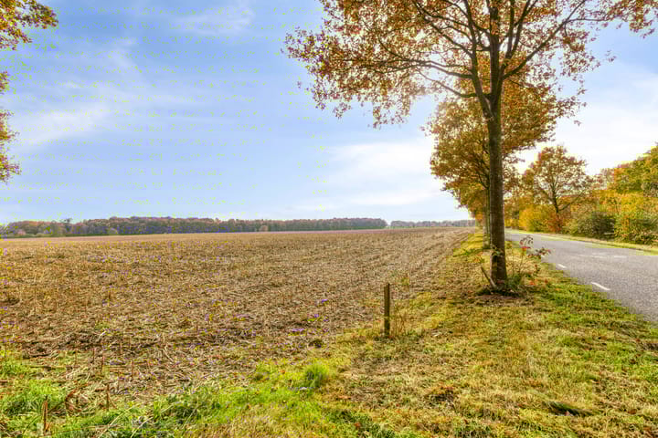 Photo 68 of Soetendaal 8