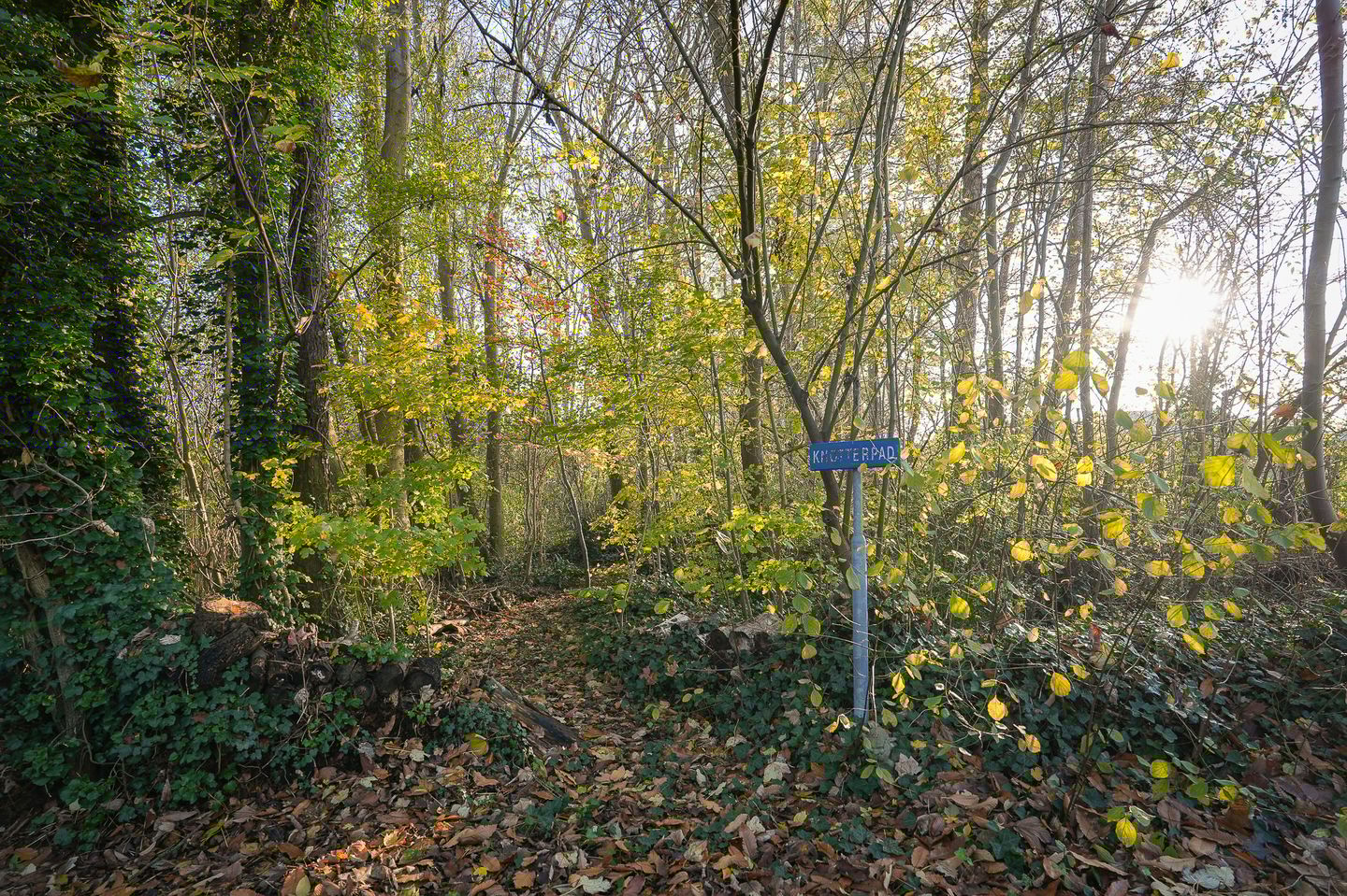 Foto 64 van Korfgraaf 24