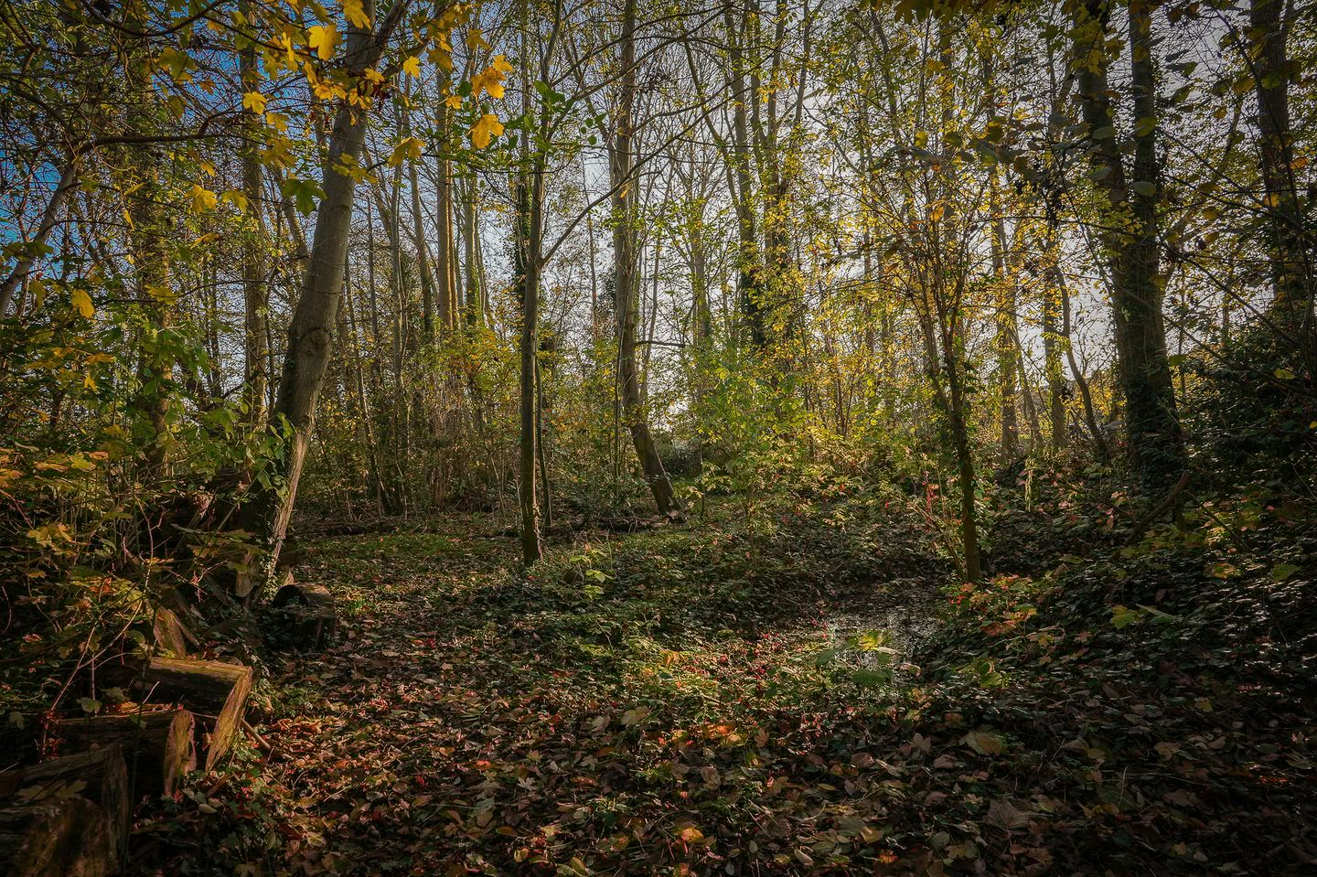 Foto 65 van Korfgraaf 24