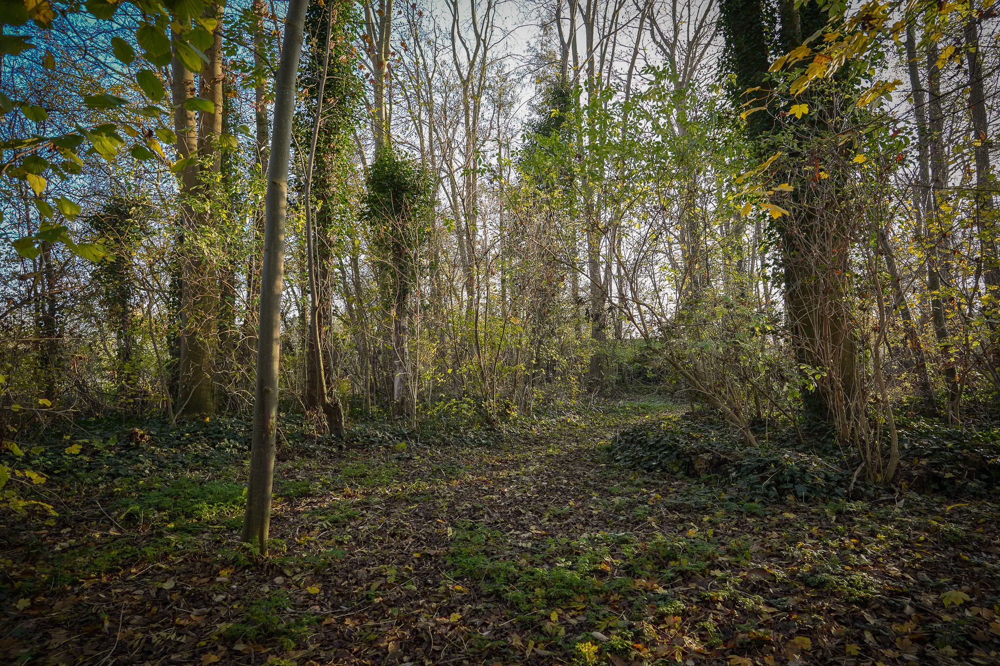 Foto 66 van Korfgraaf 24