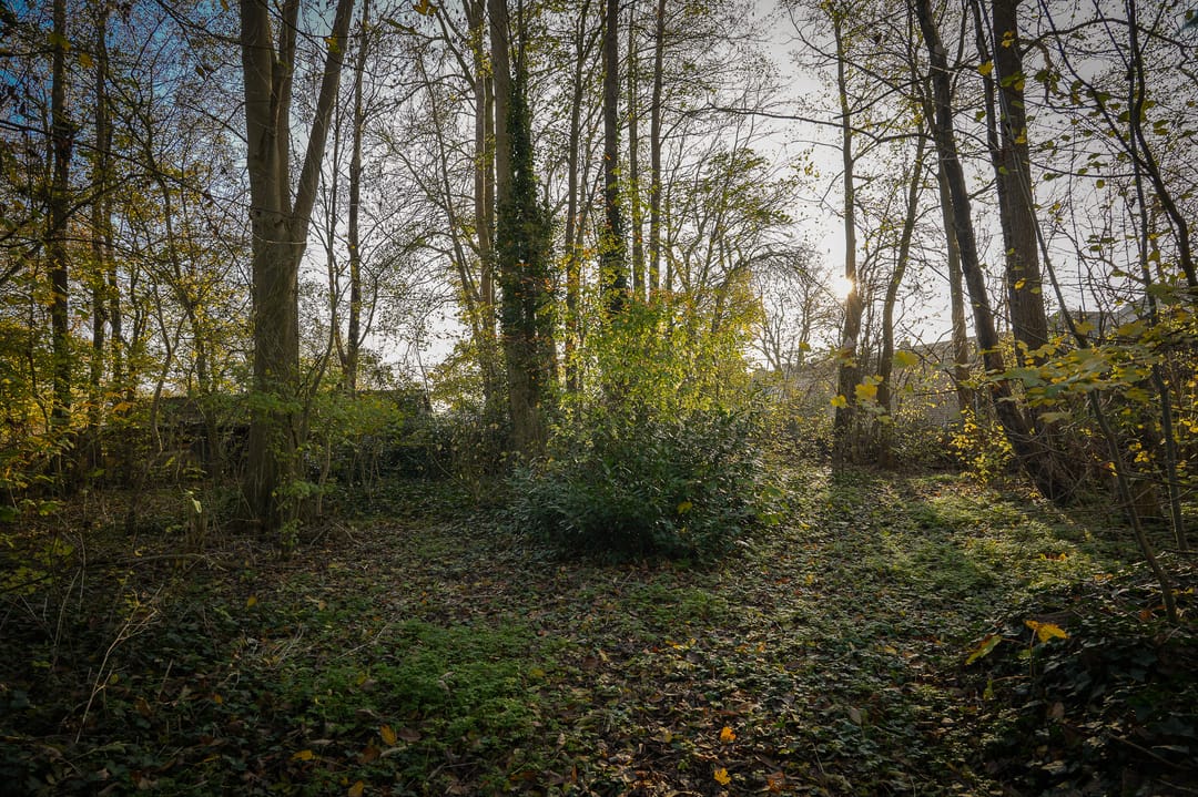 Foto 67 van Korfgraaf 24