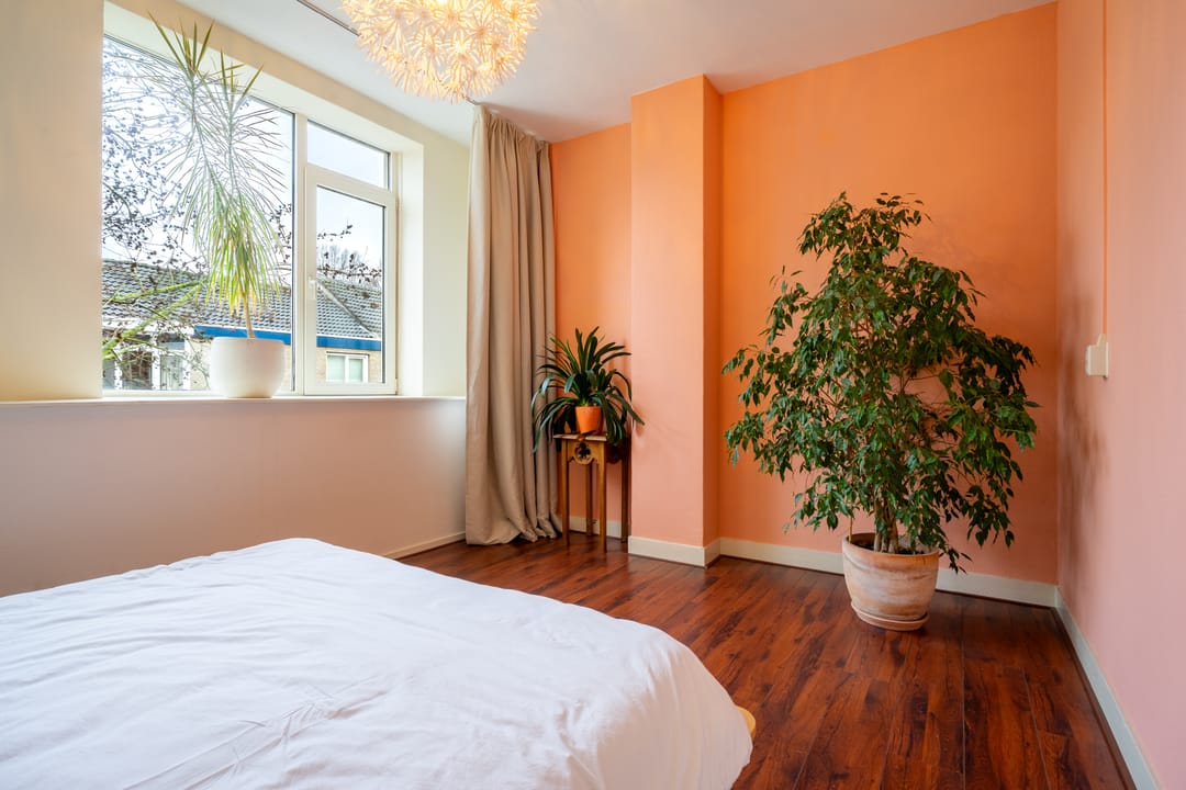 Photo 16 of Nijverstraat 94