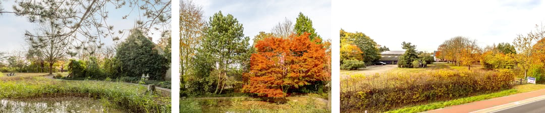 Foto 41 van Wernhoutseweg 142