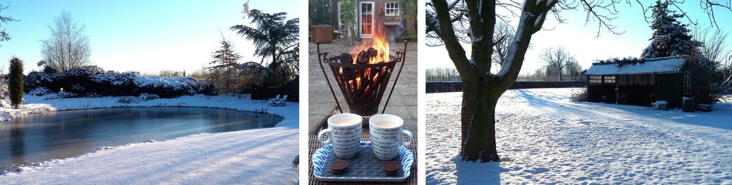 Foto 44 van Wernhoutseweg 142