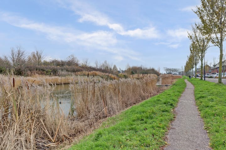 Foto 31 van Meerval 125