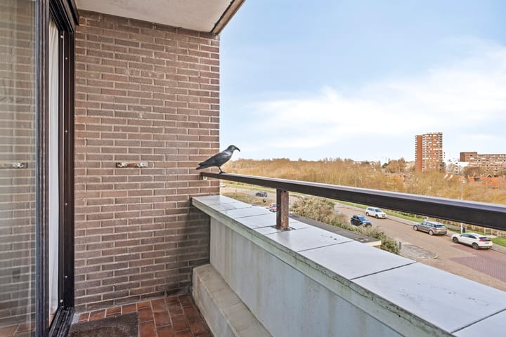 Foto 23 van Boulevard Evertsen 84