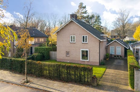 Lijsterbeslaan thumbnail