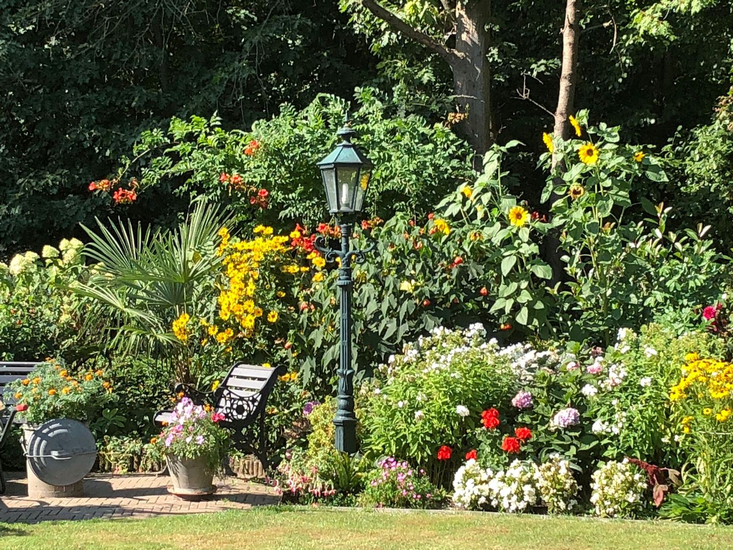 Foto 44 van Omloop 129