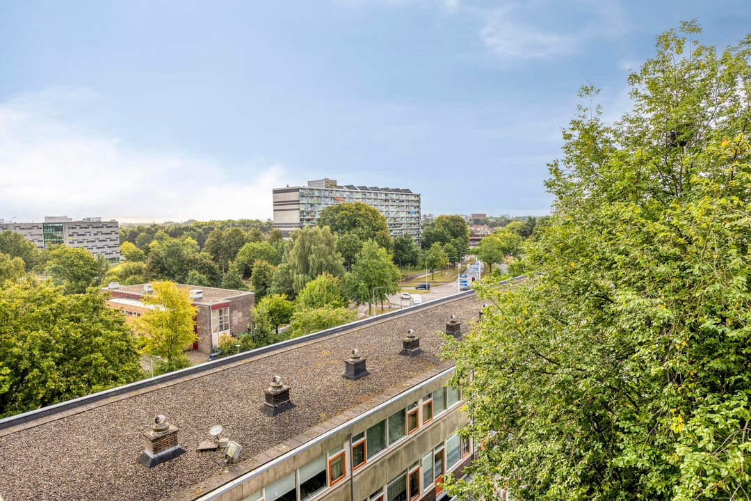 Foto 8 van Monteverdilaan 151