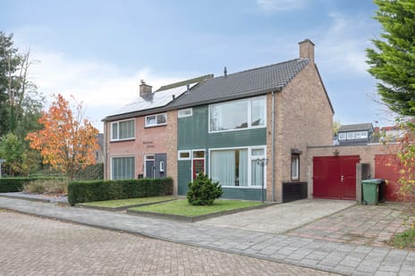 undefined main image