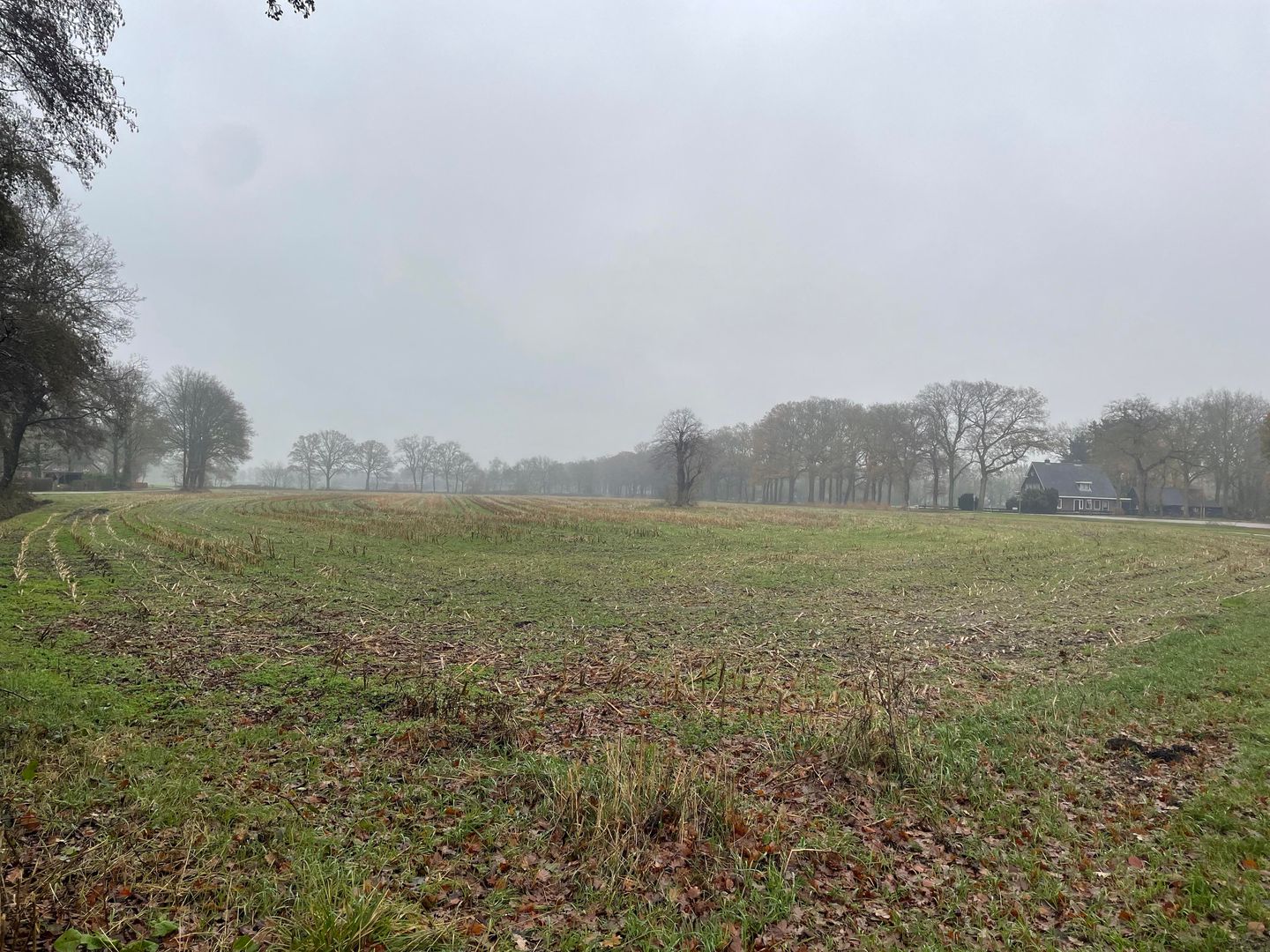 View photo 2 of De Leeuwte