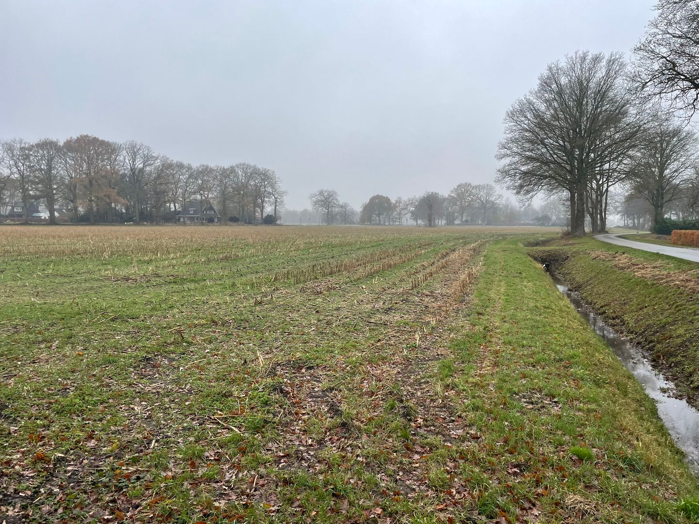 View photo 4 of De Leeuwte