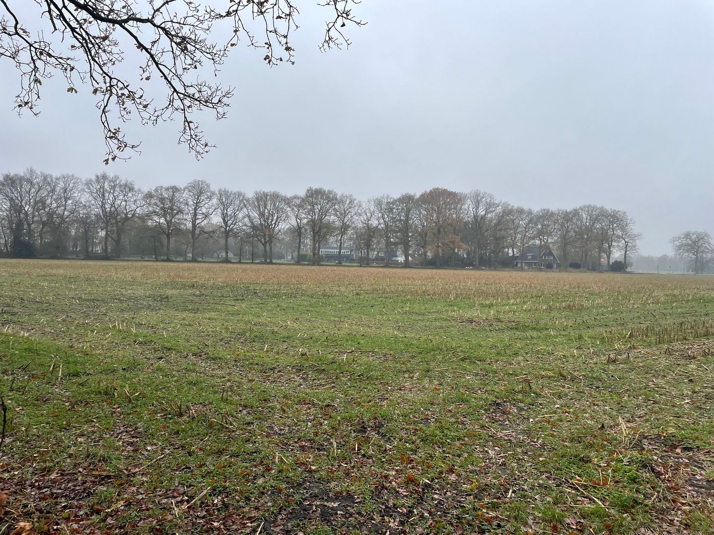 View photo 3 of De Leeuwte