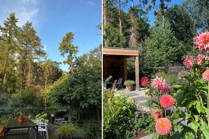 Photo 53 of Houtrustweg 16