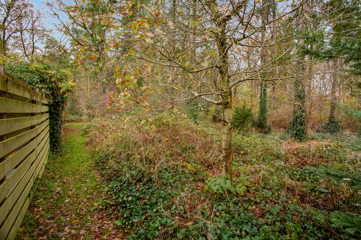 Photo 60 of Houtrustweg 16