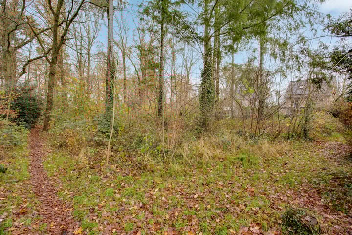 Photo 61 of Houtrustweg 16