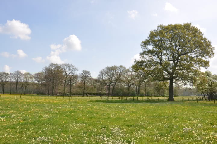 Photo 74 of Houtrustweg 16