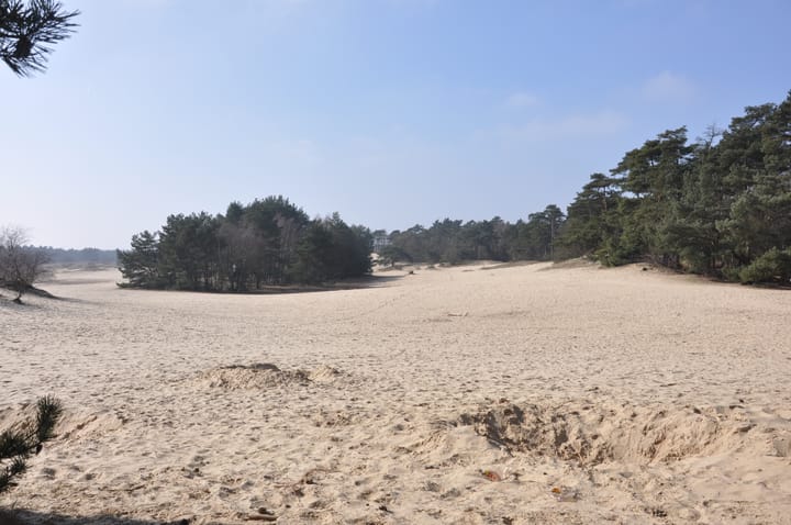 Photo 73 of Houtrustweg 16