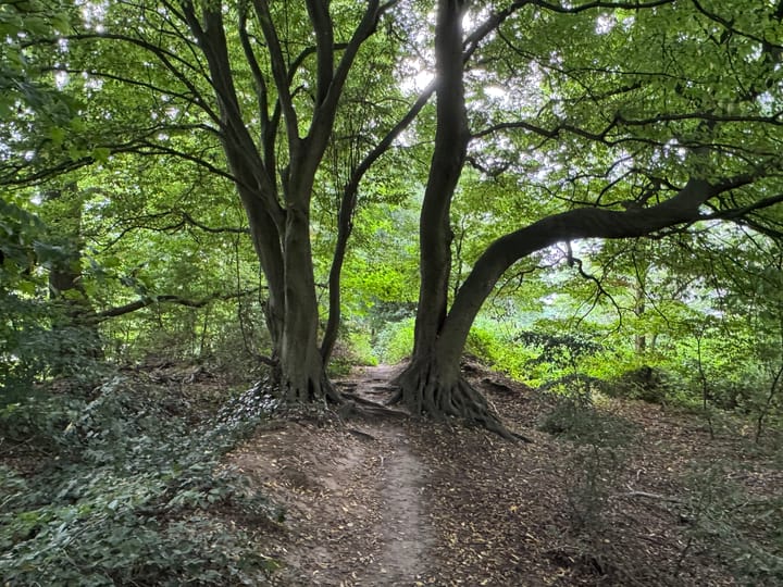 Photo 31 of Walstro 38