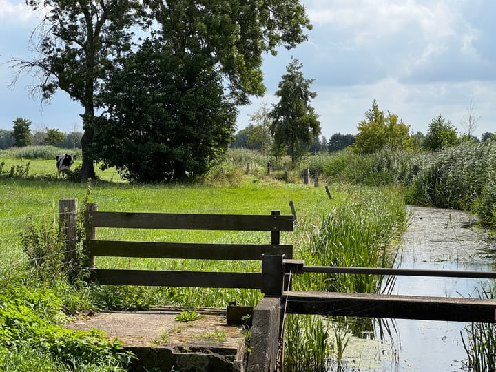 Photo 32 of Walstro 38