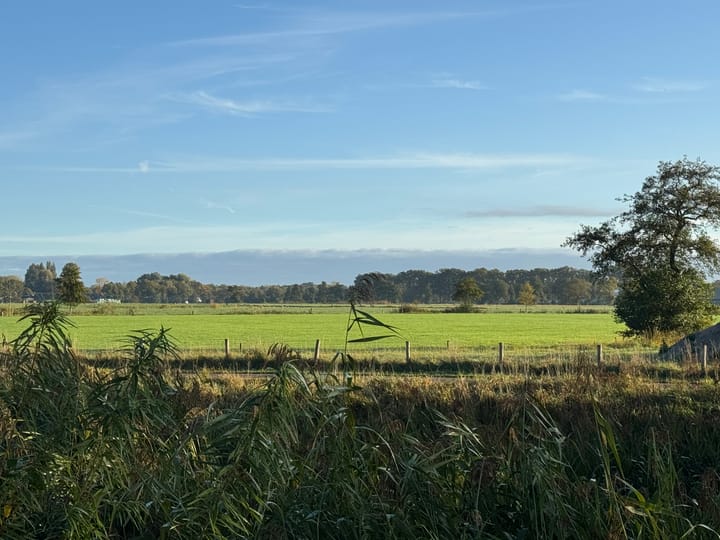 Photo 33 of Walstro 38