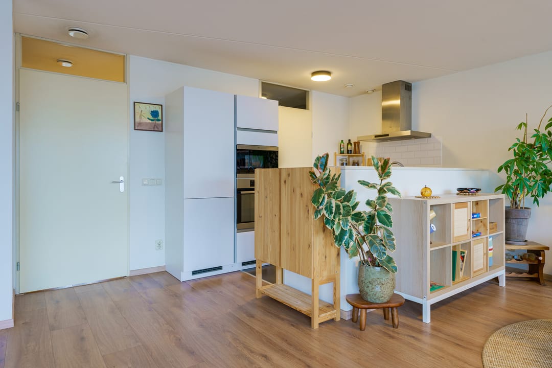 Photo 38 of Saenredamstraat 49