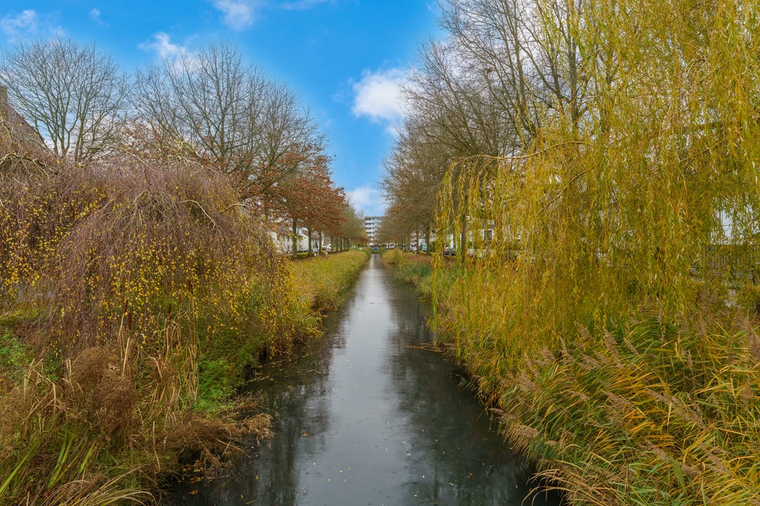 Photo 52 of Saenredamstraat 49