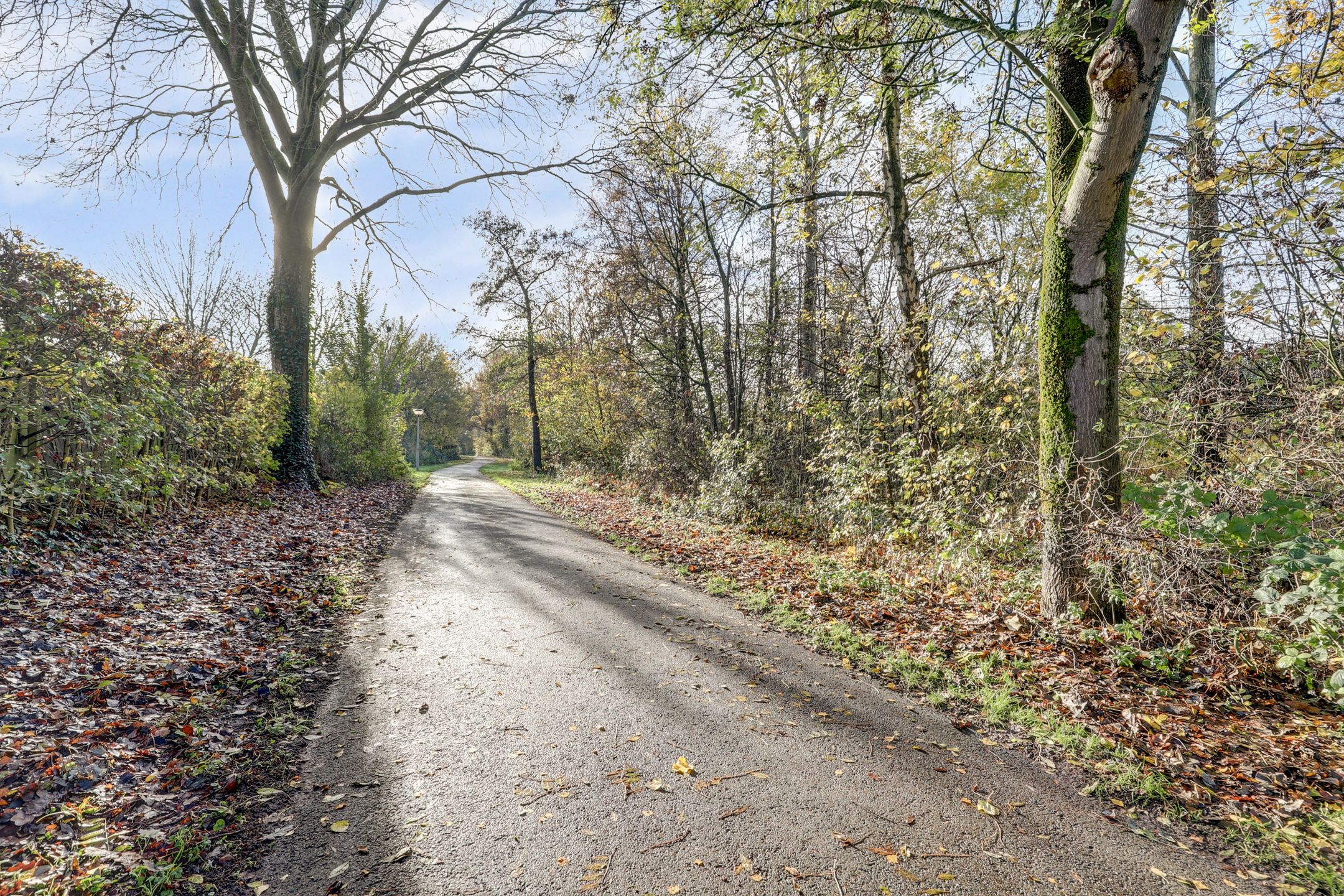 Photo 36 of Aalburgstraat 90