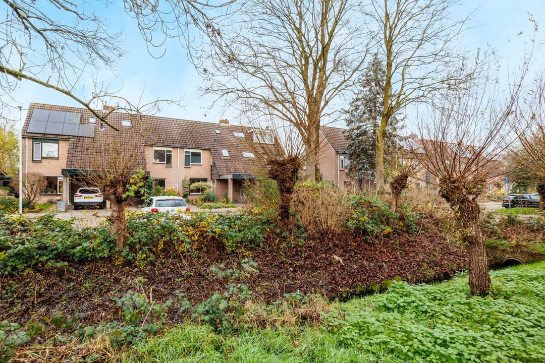 Foto 38 van Groenbergen 9