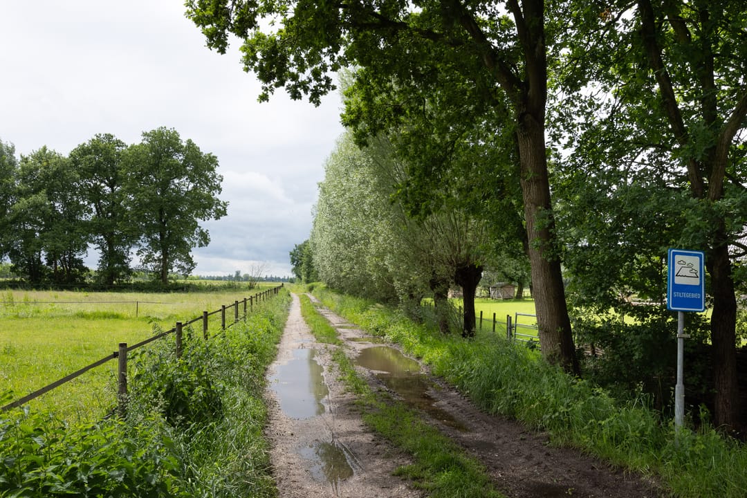 Foto 43 van Groenbergen 9