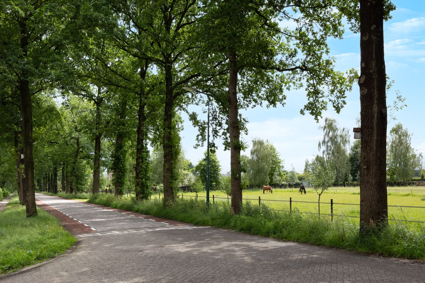 Foto 44 van Groenbergen 9