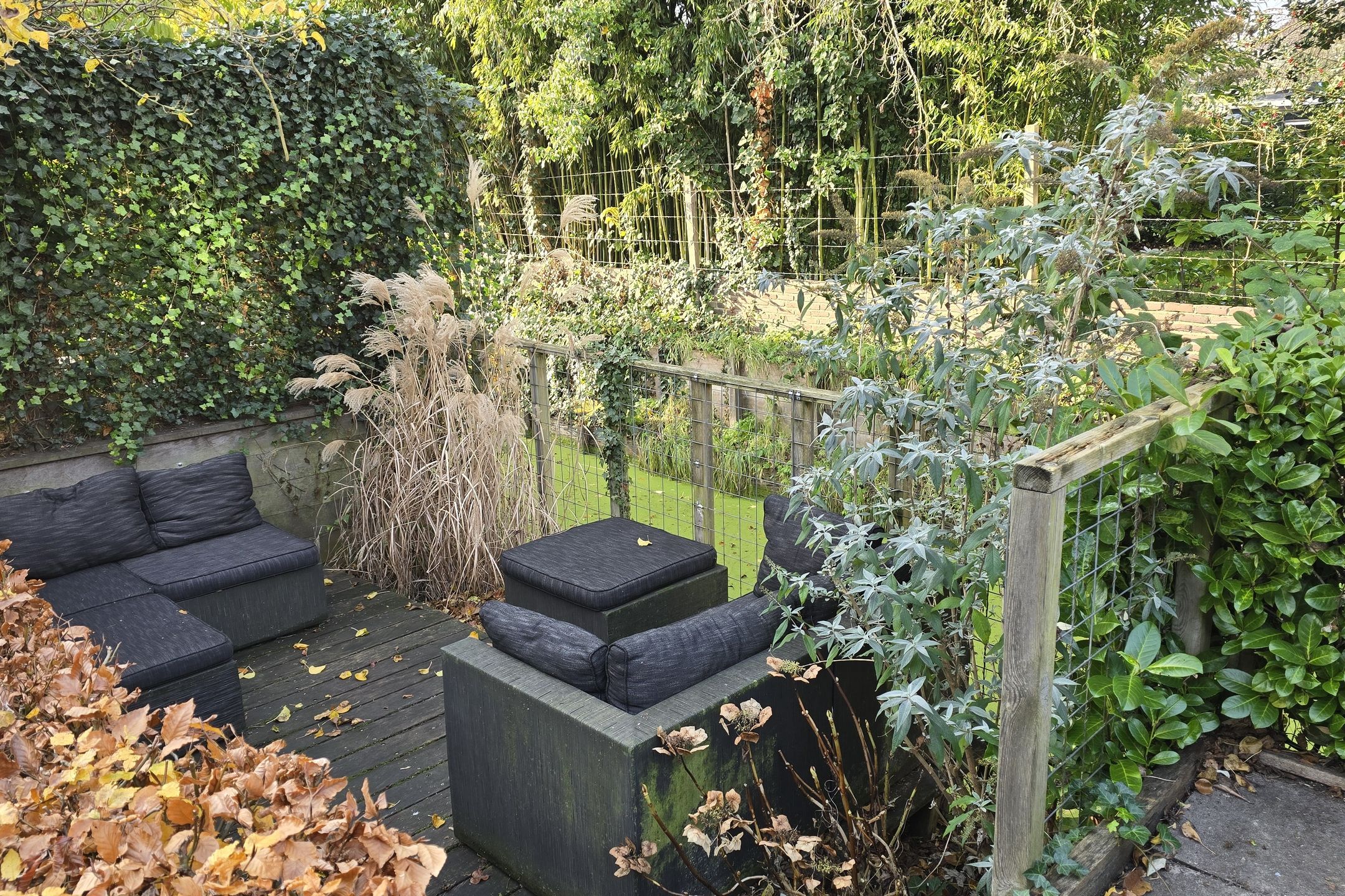 Foto 33 van Daniël Stoopendaallaan 4