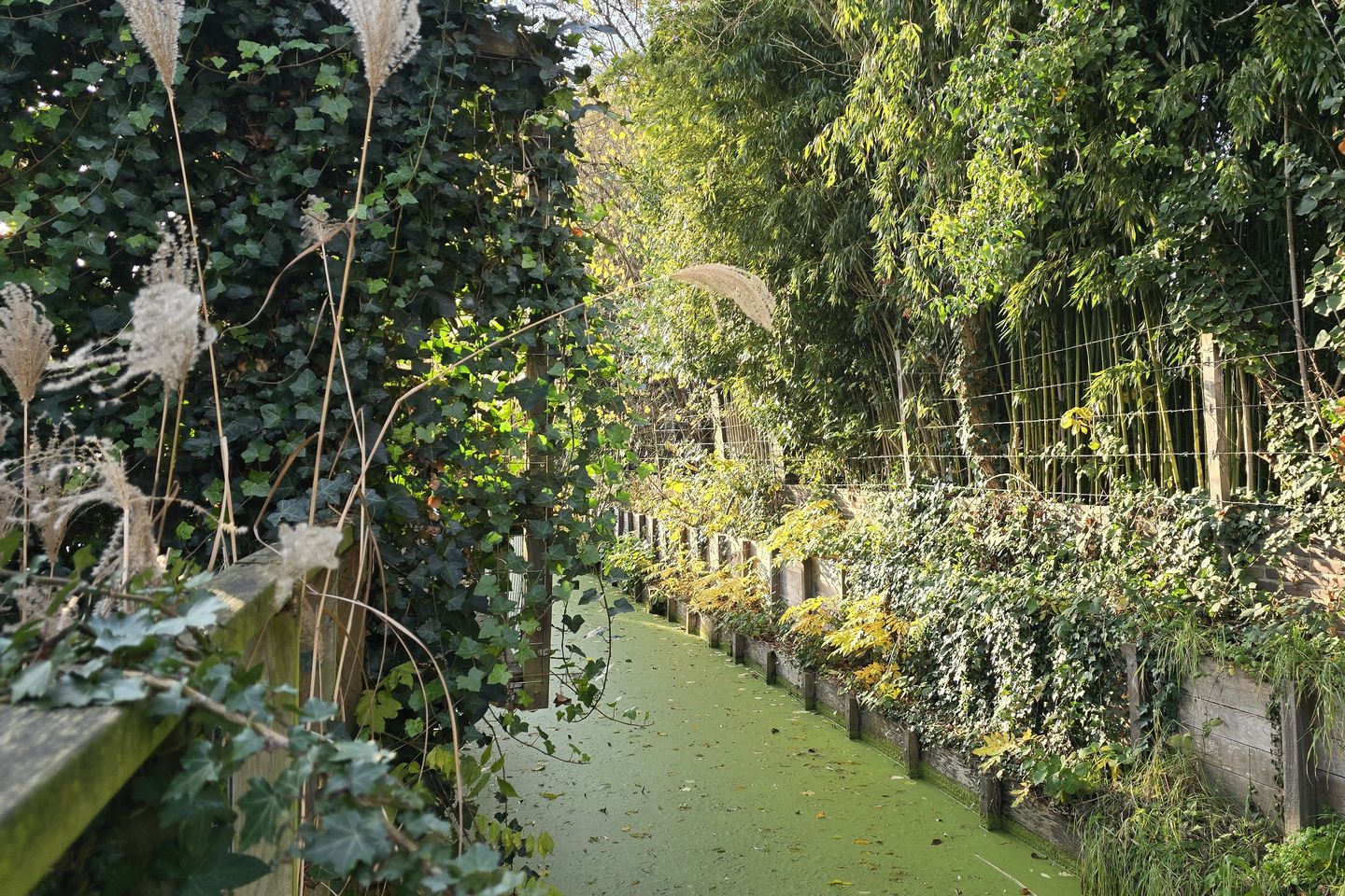 Foto 34 van Daniël Stoopendaallaan 4