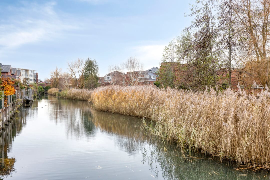 Foto 43 van Daniël Stoopendaallaan 4