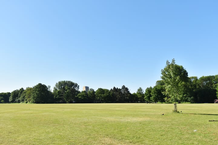 Foto 40 van Vreeswijkstraat 78