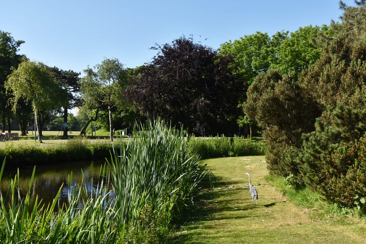 Foto 39 van Vreeswijkstraat 78