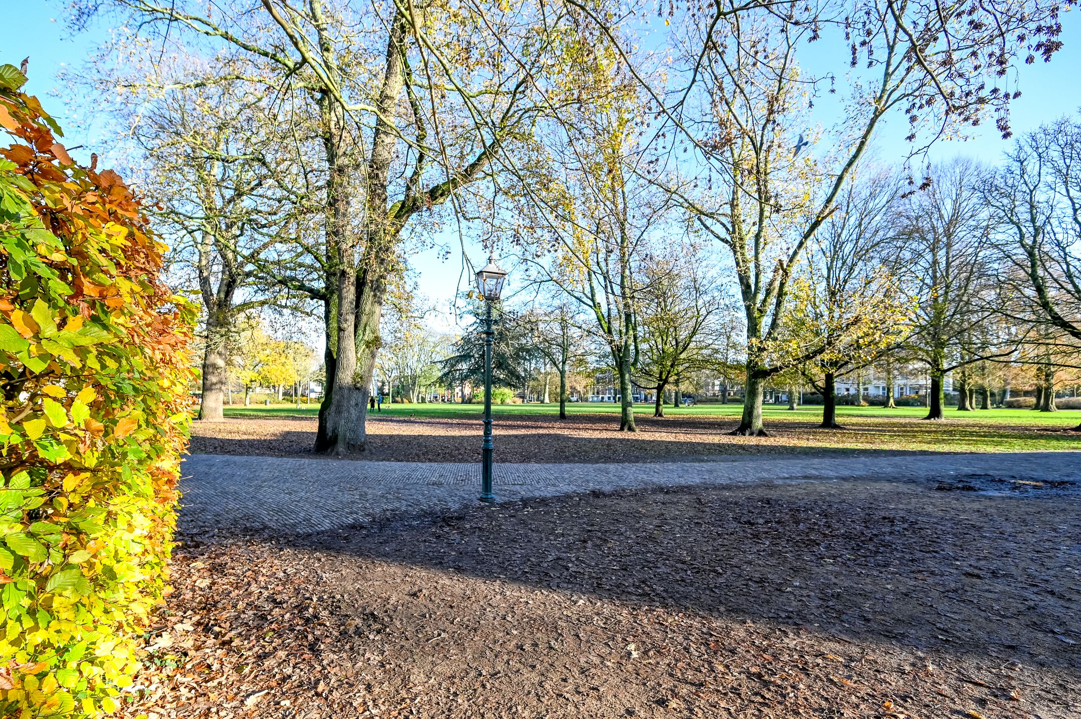 Foto 24 van Houtplein 32-D