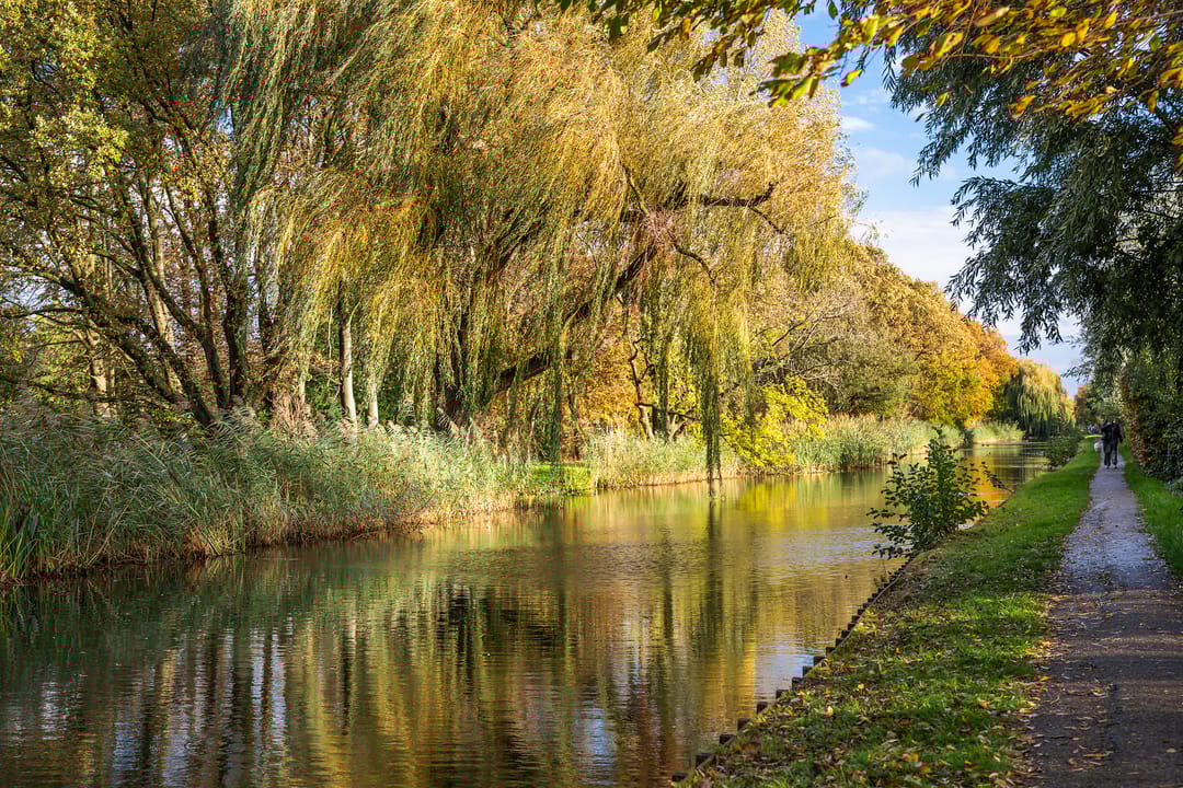 Foto 52 van Prinses Beatrixplantsoen 7-C