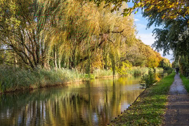 Photo 52 of Prinses Beatrixplantsoen 7-C