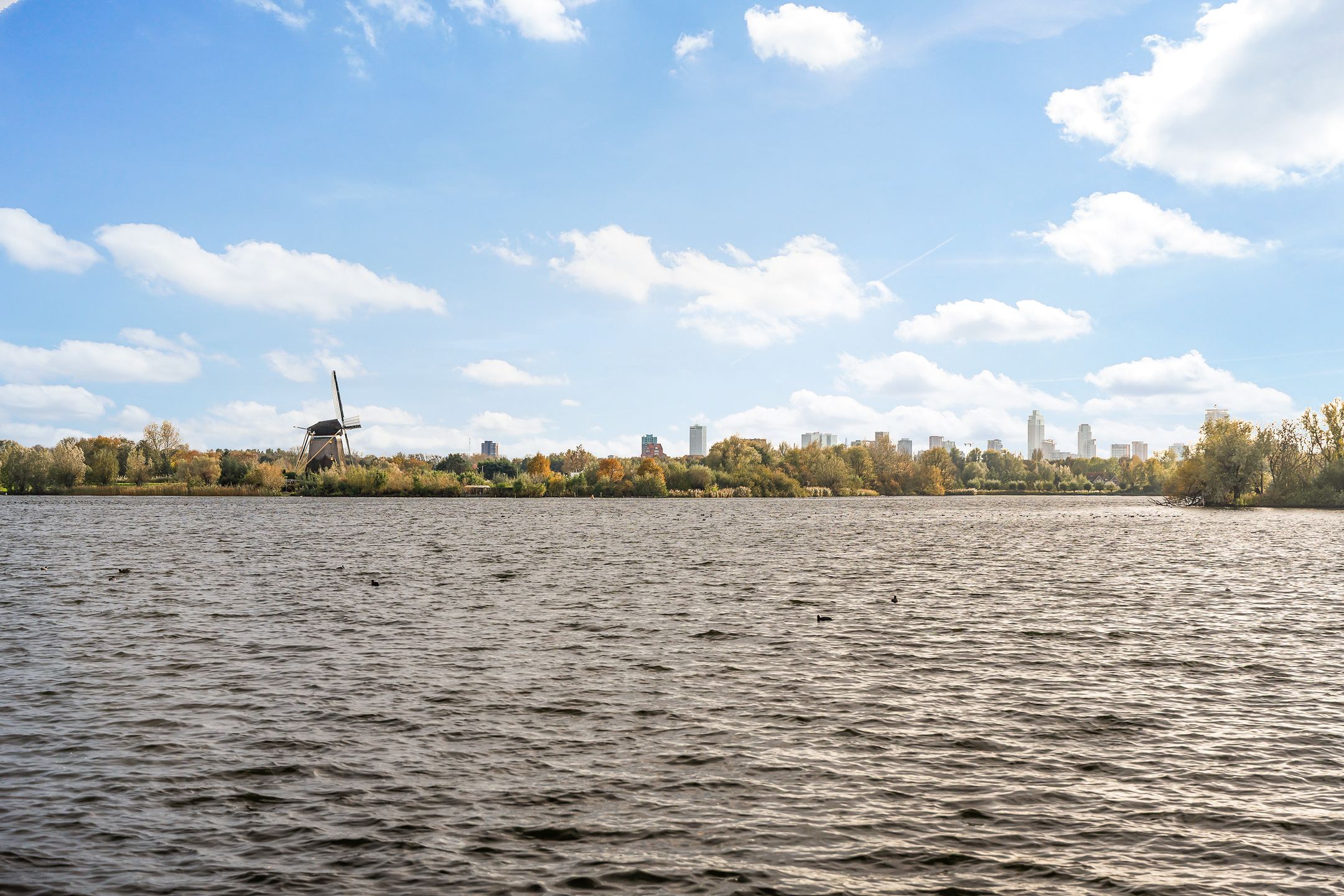 Foto 54 van Prinses Beatrixplantsoen 7-C